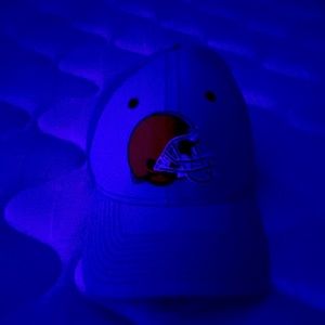 Cleveland Browns Cap (Brand new)